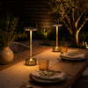 Ambient Touch Light