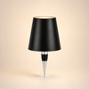 Lumina Bottle Light