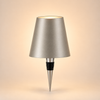 Lumina Bottle Light