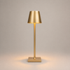Lampshade Light