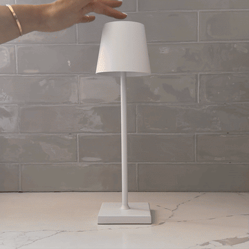 Lampshade Light 18 IMG 3006 ezgif.com crop 1